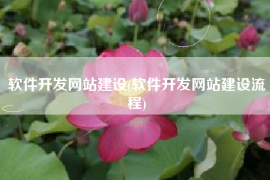 软件开发网站建设(软件开发网站建设流程)