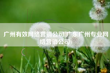 广州有效网络营销公司(广东广州专业网络营销公司)