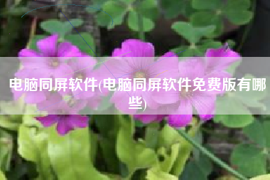 电脑同屏软件(电脑同屏软件免费版有哪些)