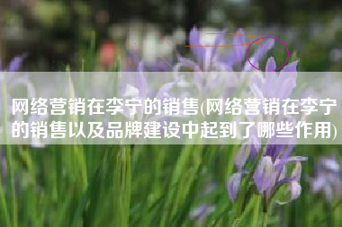 网络营销在李宁的销售(网络营销在李宁的销售以及品牌建设中起到了哪些作用)