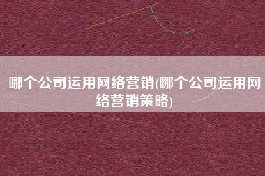 哪个公司运用网络营销(哪个公司运用网络营销策略)