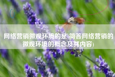 网络营销微观环境的是(简答网络营销的微观环境的概念及其内容)