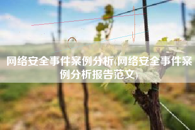 网络安全事件案例分析(网络安全事件案例分析报告范文)