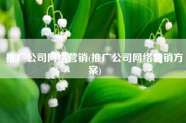 推广公司网络营销(推广公司网络营销方案)