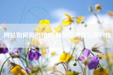 网站如何吸引用户(网站如何吸引用户推广)