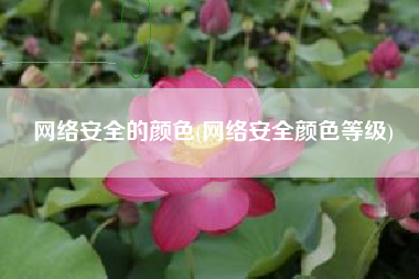 网络安全的颜色(网络安全颜色等级)