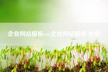 企业网站模板css(企业网站模板 免费)