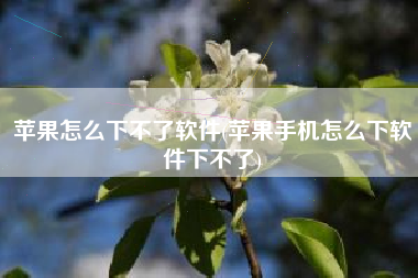 苹果怎么下不了软件(苹果手机怎么下软件下不了)