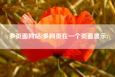 多页面网站(多网页在一个页面显示)