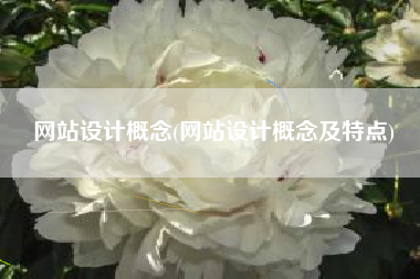 网站设计概念(网站设计概念及特点)