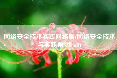 网络安全技术实践网络版(网络安全技术与实践第3版pdf)