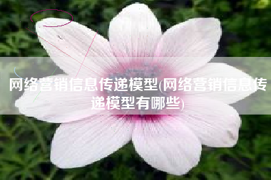 网络营销信息传递模型(网络营销信息传递模型有哪些)