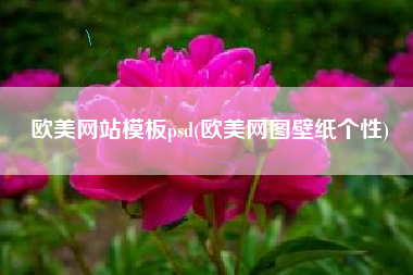 欧美网站模板psd(欧美网图壁纸个性)