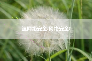 迪网络安全(网络安全i)