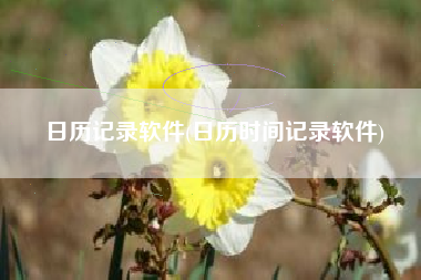 日历记录软件(日历时间记录软件)