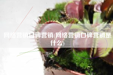 网络营销口碑营销(网络营销口碑营销是什么)
