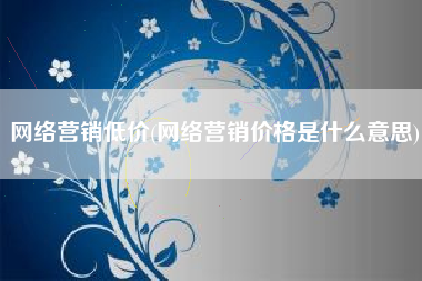 网络营销低价(网络营销价格是什么意思)