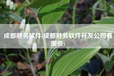 成都财务软件(成都财务软件开发公司有哪些)
