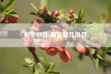 解密软件(解密软件推荐)