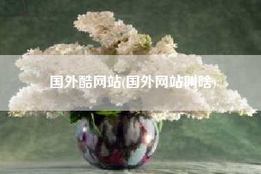 国外酷网站(国外网站叫啥)