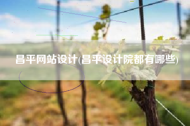 昌平网站设计(昌平设计院都有哪些)