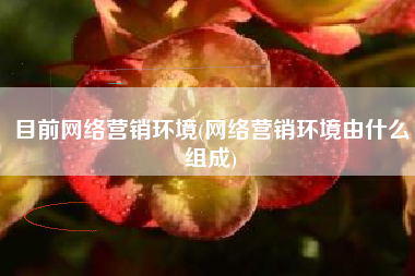 目前网络营销环境(网络营销环境由什么组成)