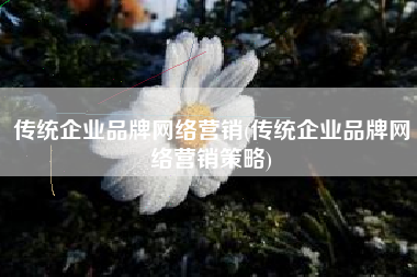 传统企业品牌网络营销(传统企业品牌网络营销策略)