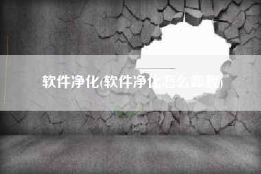 软件净化(软件净化怎么卸载)