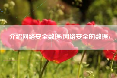 介绍网络安全数据(网络安全的数据)