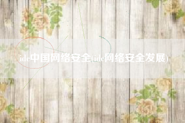 idc中国网络安全(idc网络安全发展)