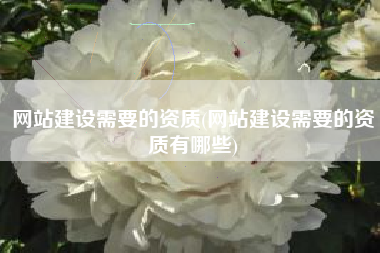网站建设需要的资质(网站建设需要的资质有哪些)