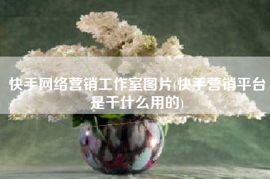快手网络营销工作室图片(快手营销平台是干什么用的)