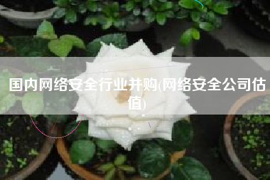 国内网络安全行业并购(网络安全公司估值)