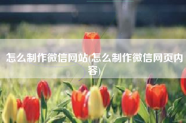 怎么制作微信网站(怎么制作微信网页内容)