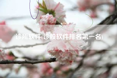 诊所软件(诊股软件排名第一名)