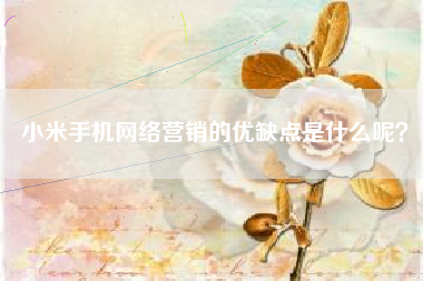 小米手机网络营销的优缺点是什么呢？