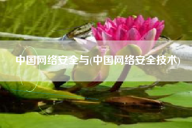 中国网络安全与(中国网络安全技术)