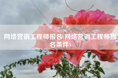 网络营销工程师报名(网络营销工程师报名条件)
