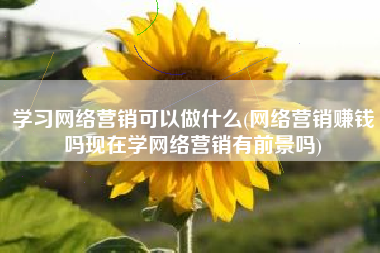 学习网络营销可以做什么(网络营销赚钱吗现在学网络营销有前景吗)