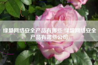 绿盟网络安全产品有哪些(绿盟网络安全产品有哪些公司)