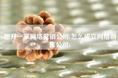 想开一家网络营销公司(怎么成立网络销售公司)
