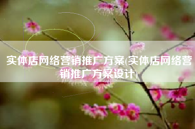 实体店网络营销推广方案(实体店网络营销推广方案设计)