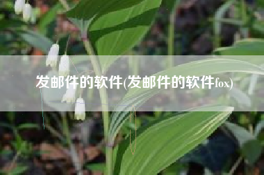 发邮件的软件(发邮件的软件fox)