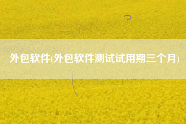 外包软件(外包软件测试试用期三个月)