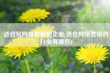 适合写网络营销的企业(适合网络营销的行业有哪些)