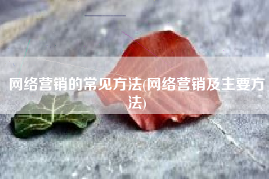 网络营销的常见方法(网络营销及主要方法)