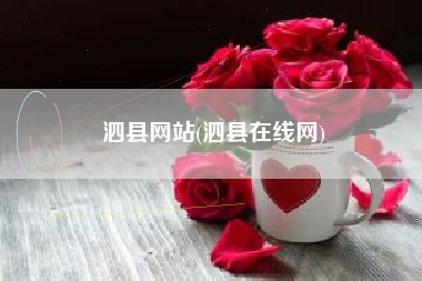 泗县网站(泗县在线网)