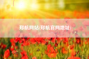 郑航网站(郑航官网地址)