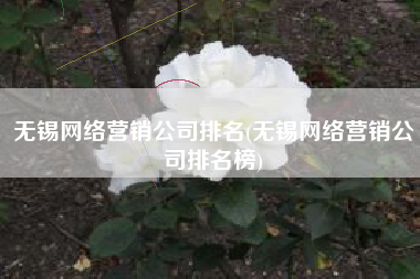无锡网络营销公司排名(无锡网络营销公司排名榜)