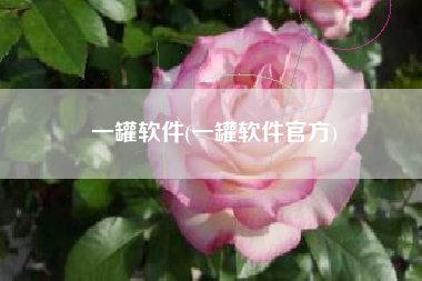 一罐软件(一罐软件官方)